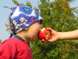 Kid eating healthy