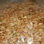 brown rice