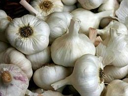 garlic-and-heart-health-benefits-of-garlic-to-cardiovascular-health