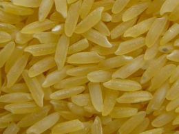 golden-rice