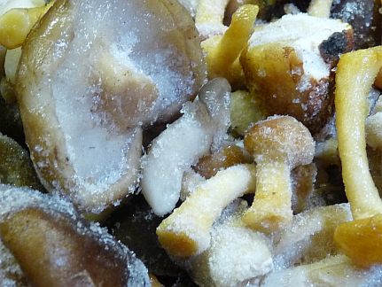 frozen-mushrooms