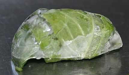 Frozen butter lettuce leaves.